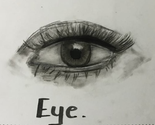 Eye Reference